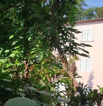 Sumamore Porec Exterior photo